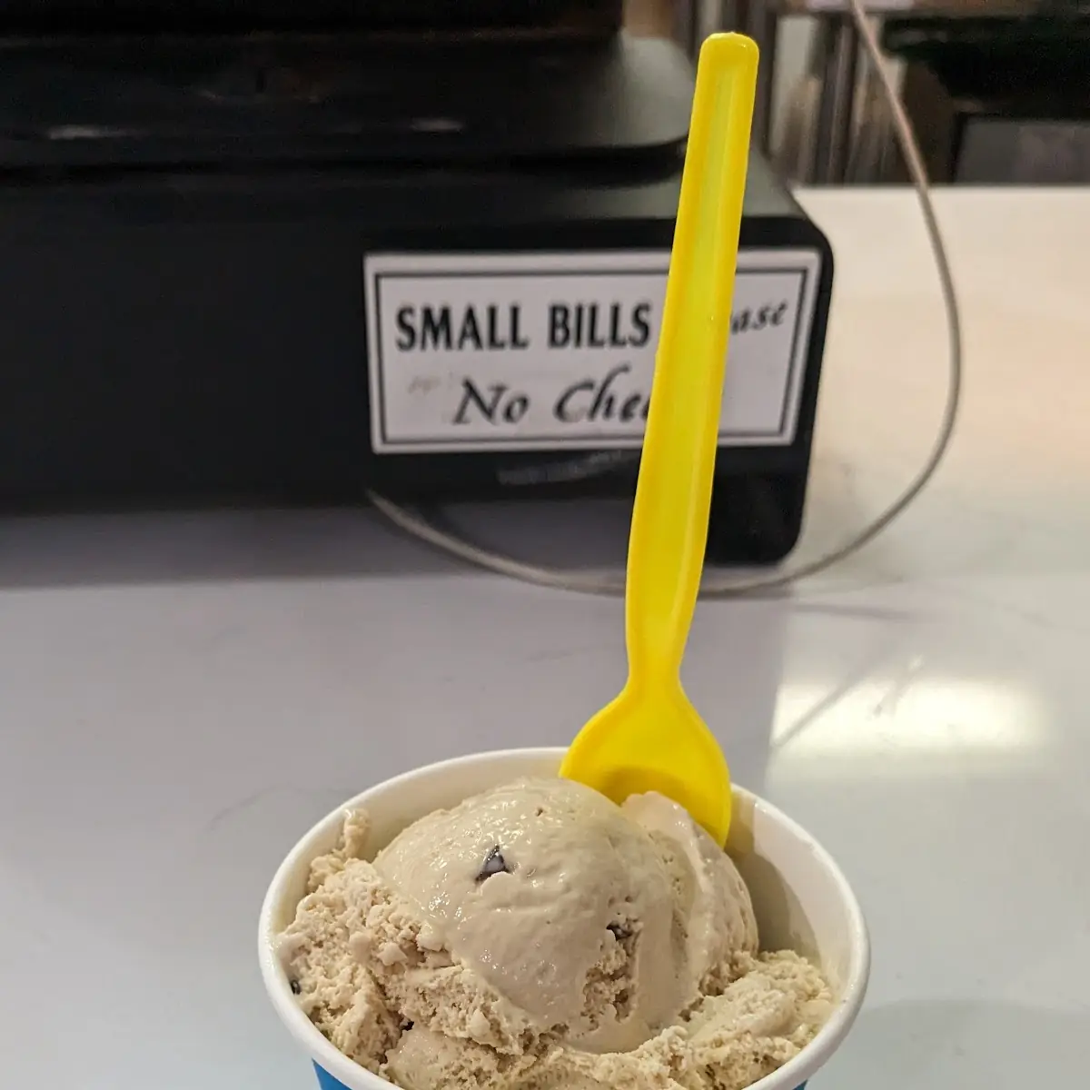 Chocolate Hazelnut Ice Cream