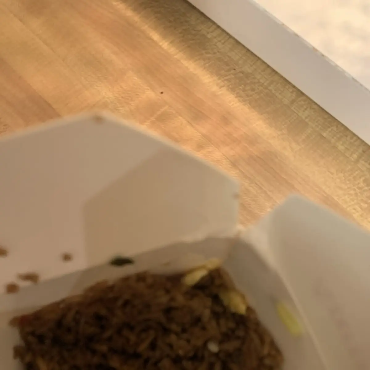 Nasi Goreng