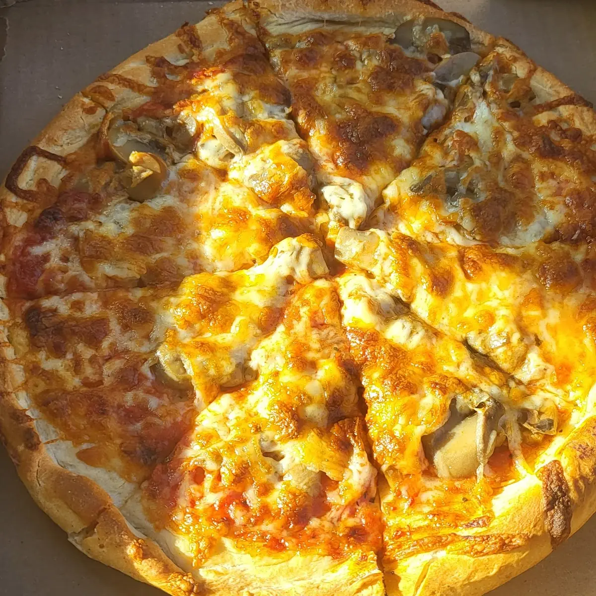 Mushroom Pizza