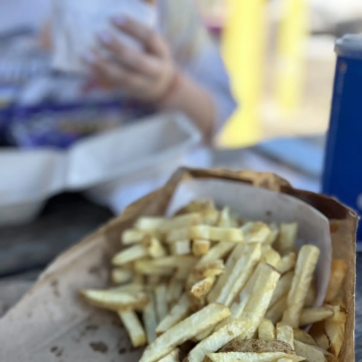 Hand-Cut Fries