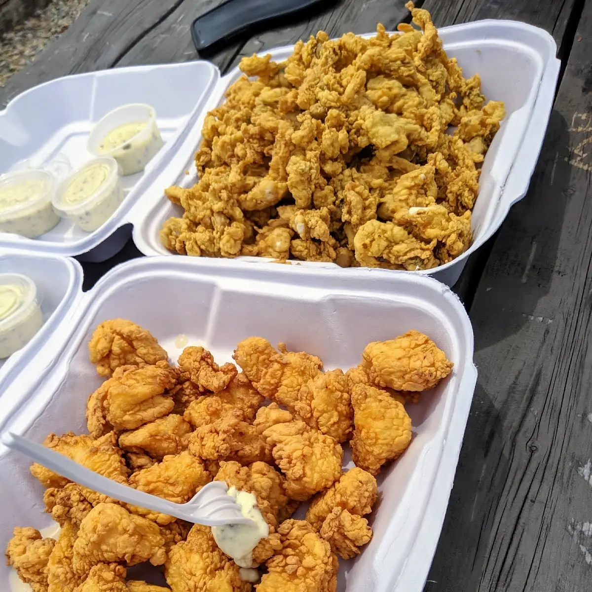 Fried Scallopsand Fried Clams