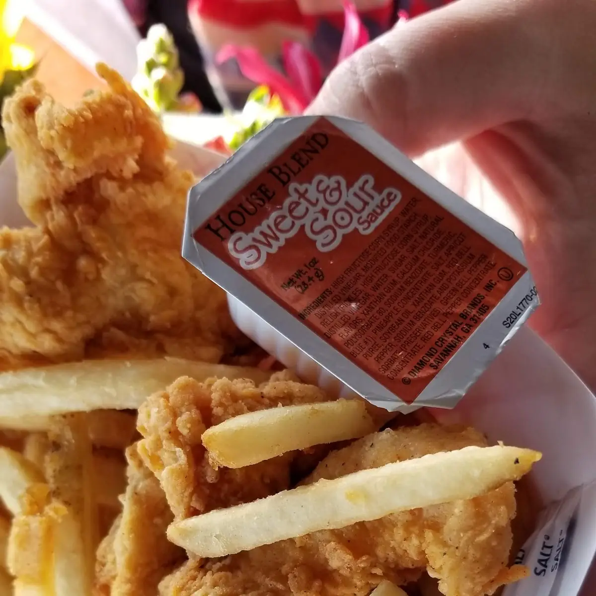 Kids Chicken Tenders