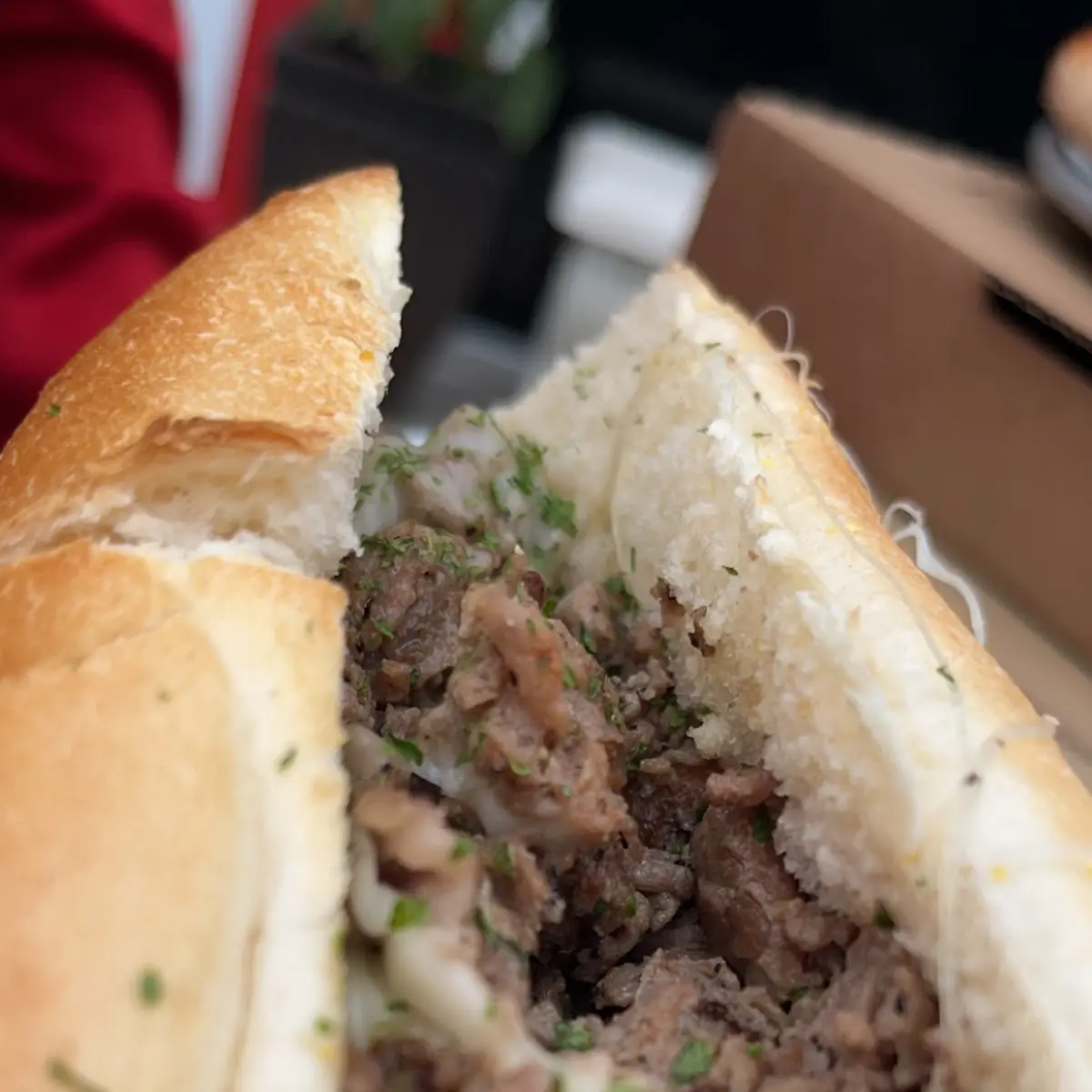 Steak and Cheese Sub