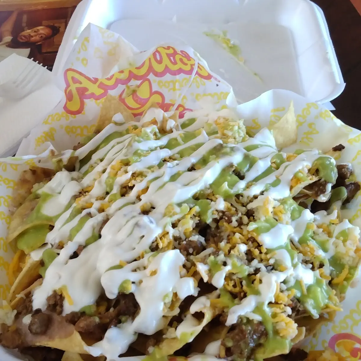 Carne Asada Fries