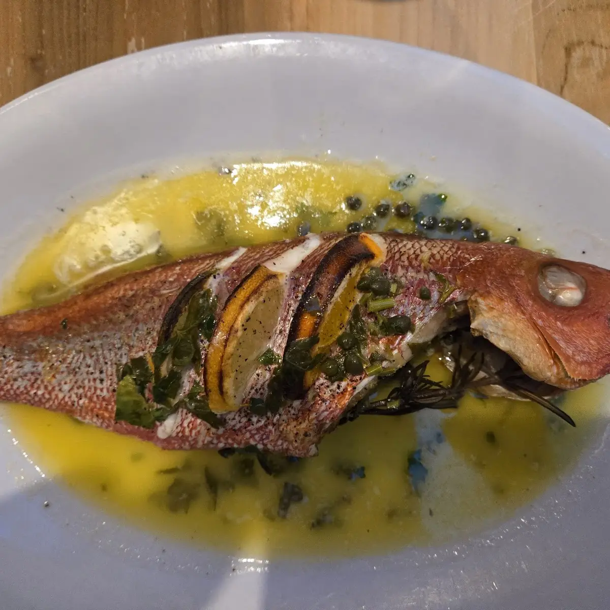 Whole Red Snapper