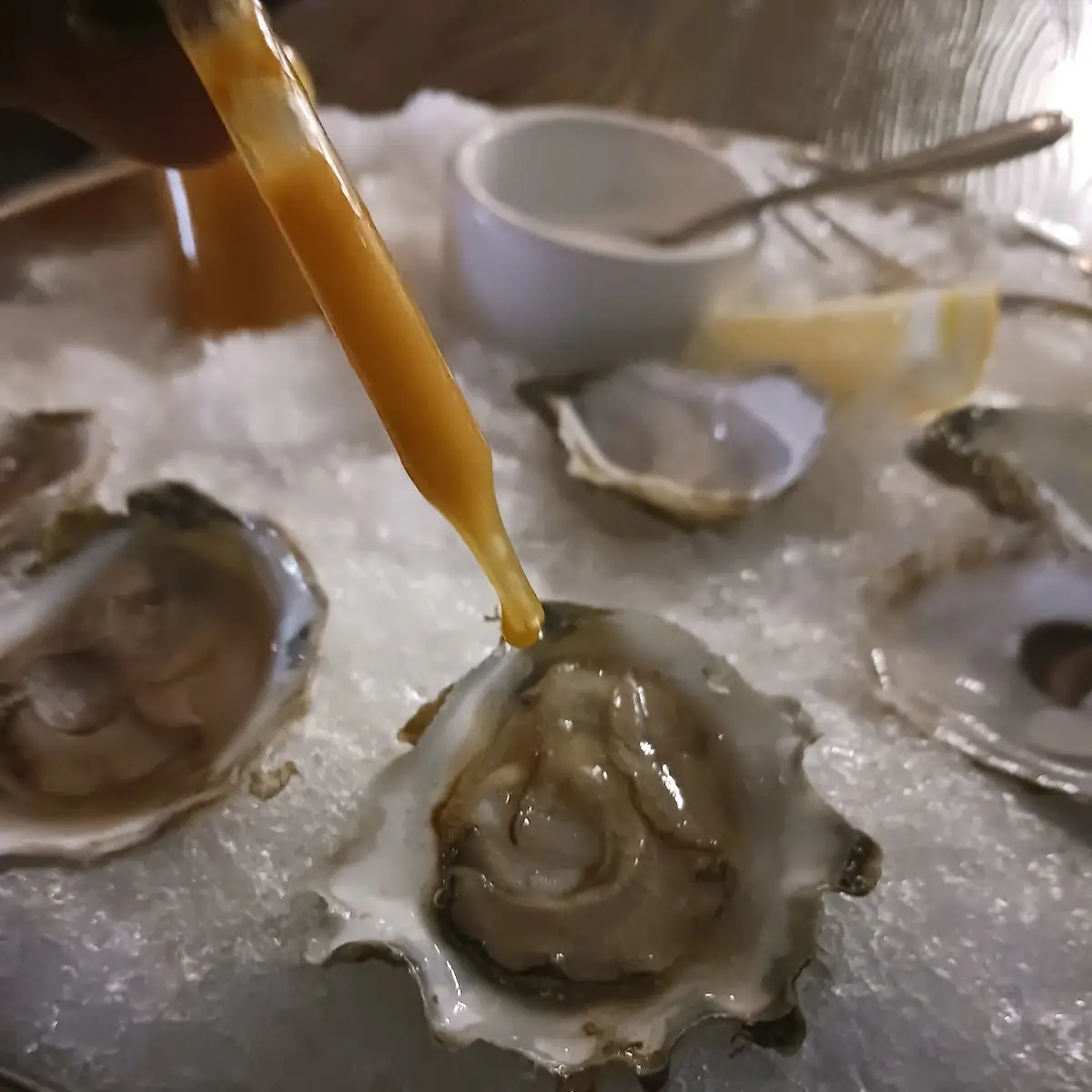 Cape Cod Oyesters