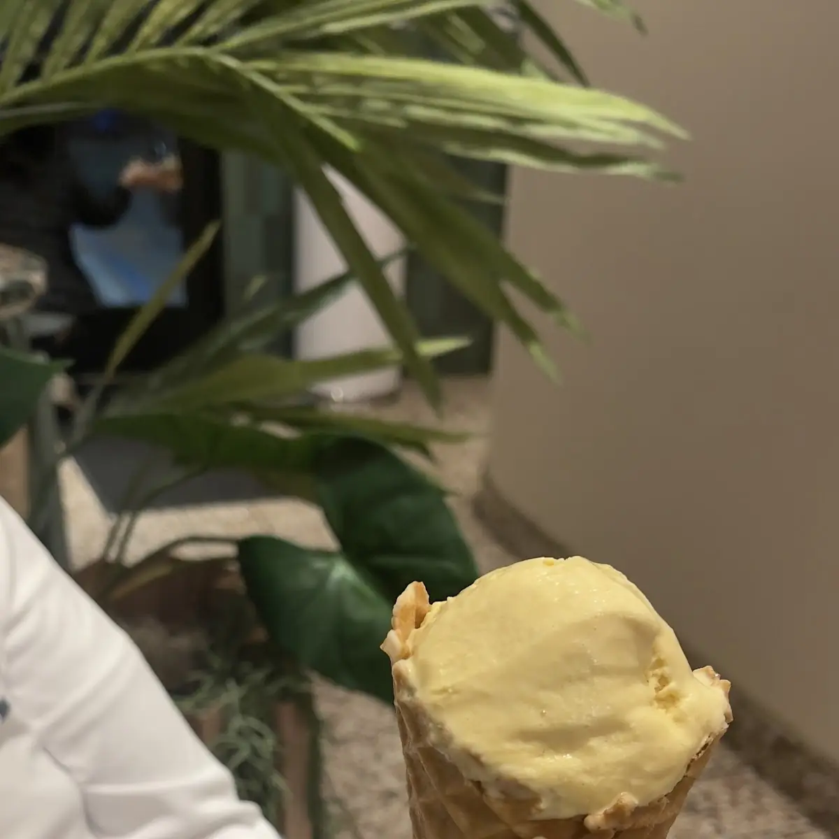 Gelato