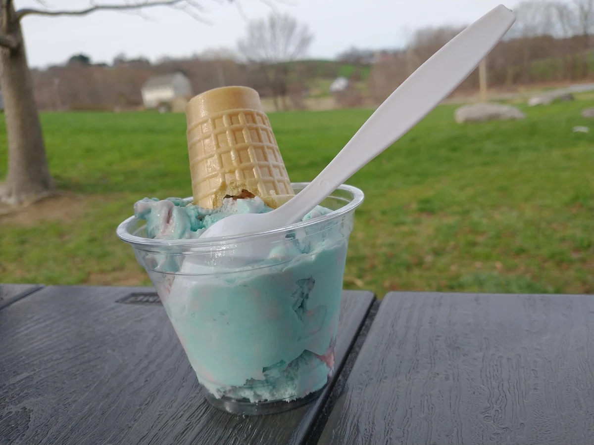Cotton Candy Ice Cream