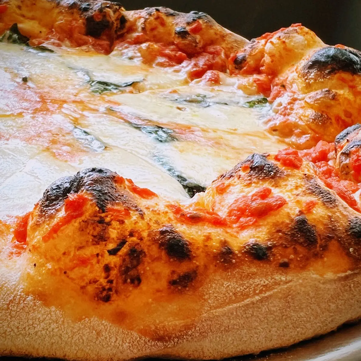 Margarita Pizza