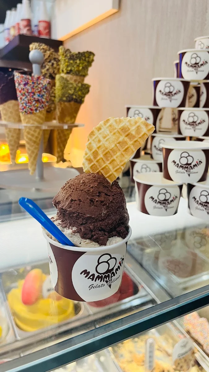 Belgian Chocolate Gelato