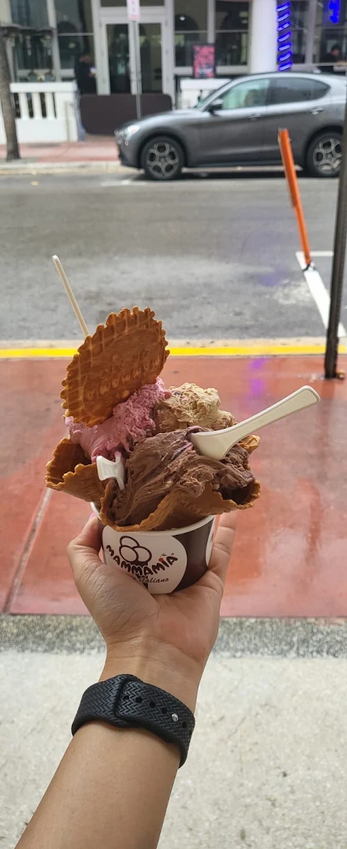 Strawberry Chocolate Ice Cream