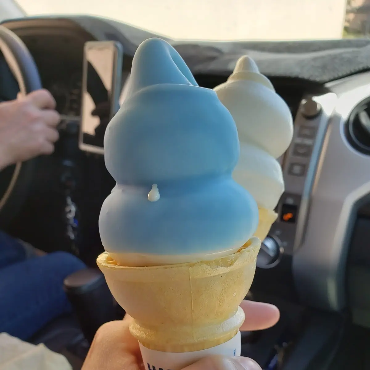 Cotton Candy Dipped Cone