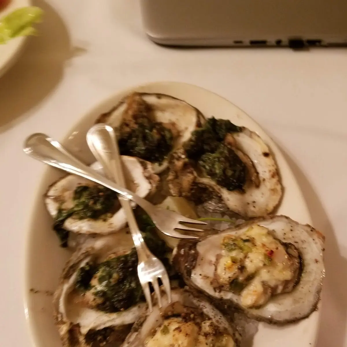 Gulf Oysters on the Half Shell