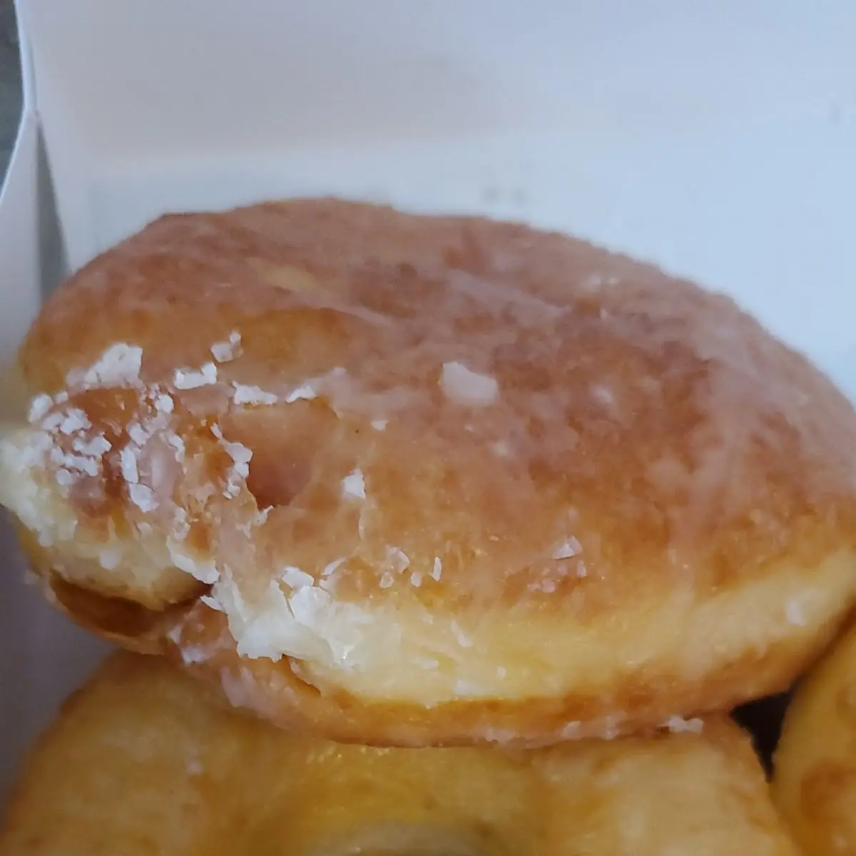 Plain Glazed Donut