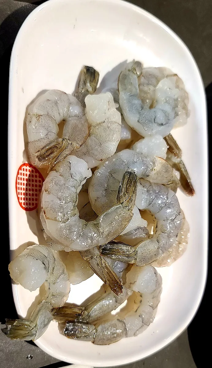 Shrimp