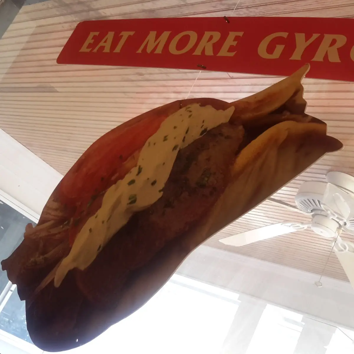 Gyro Sandwich