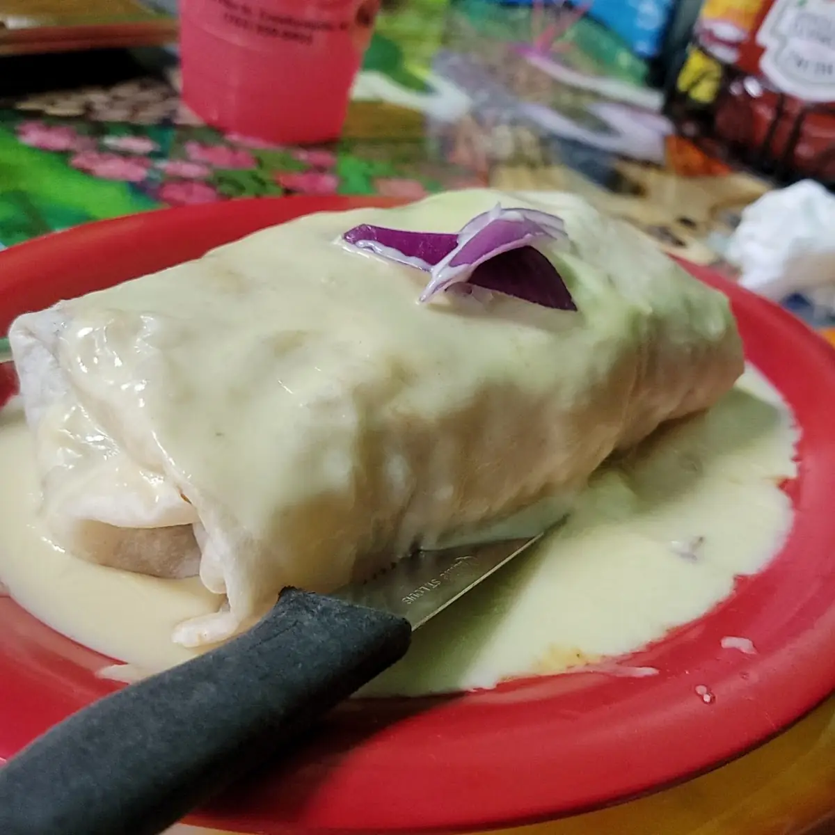 Chicken Burrito