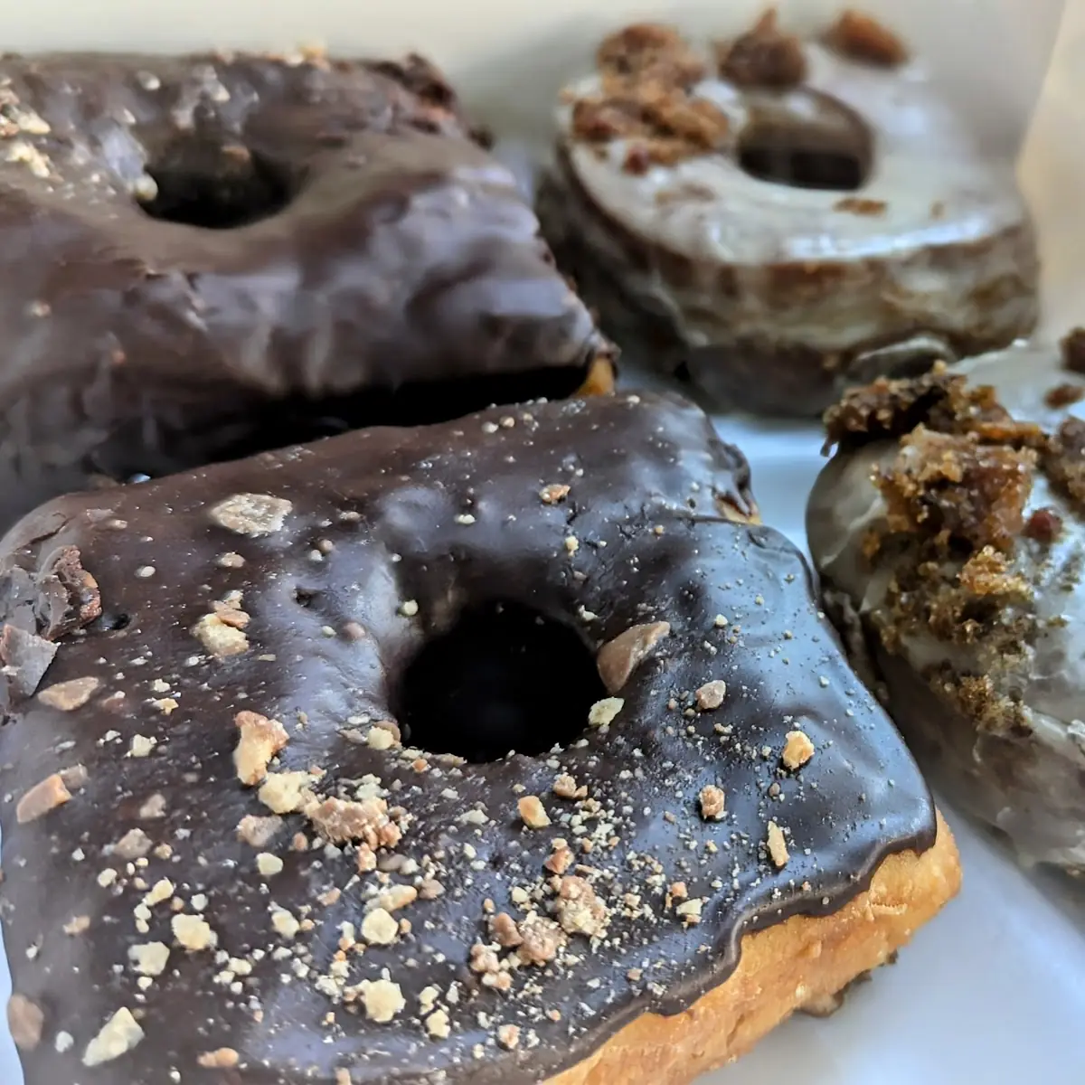 Malted Chocolate Donut