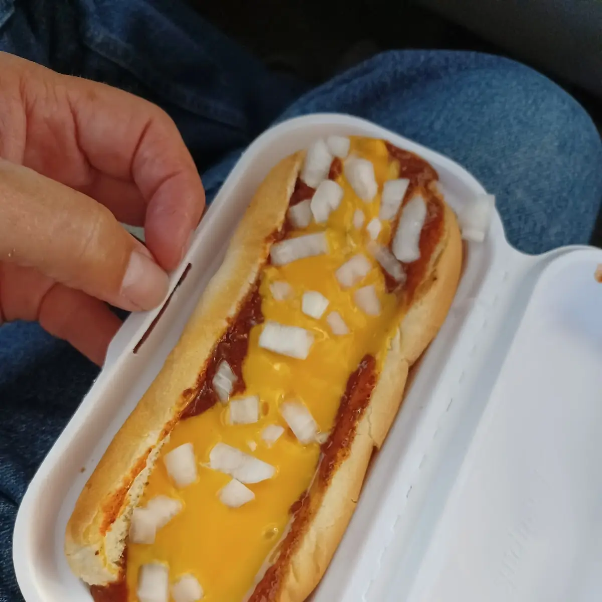 Chili Cheese Dog