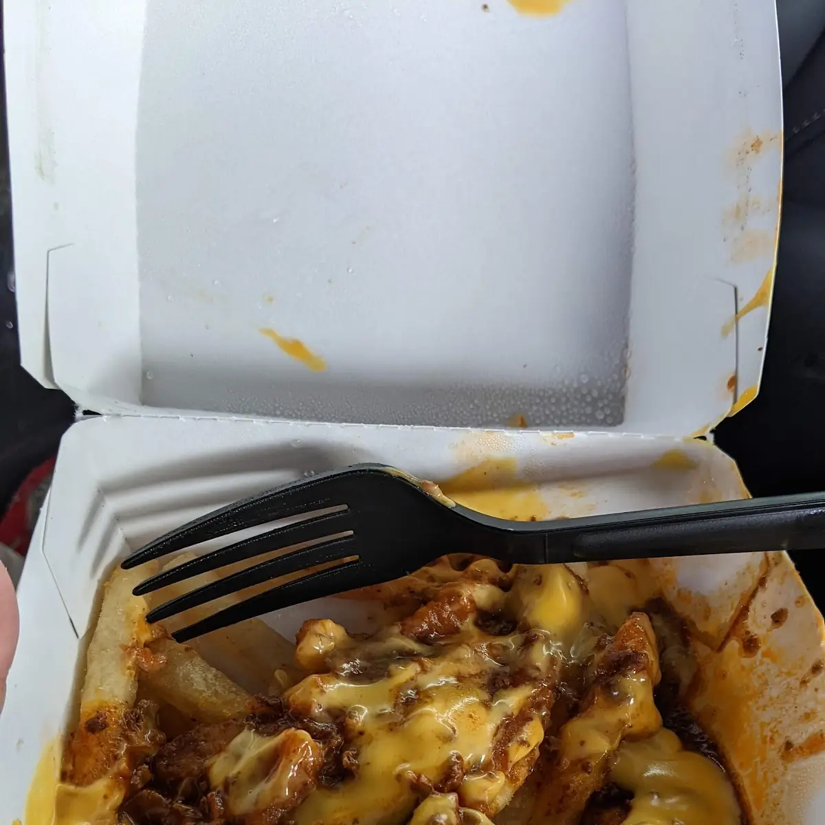 Chili Cheese Fries