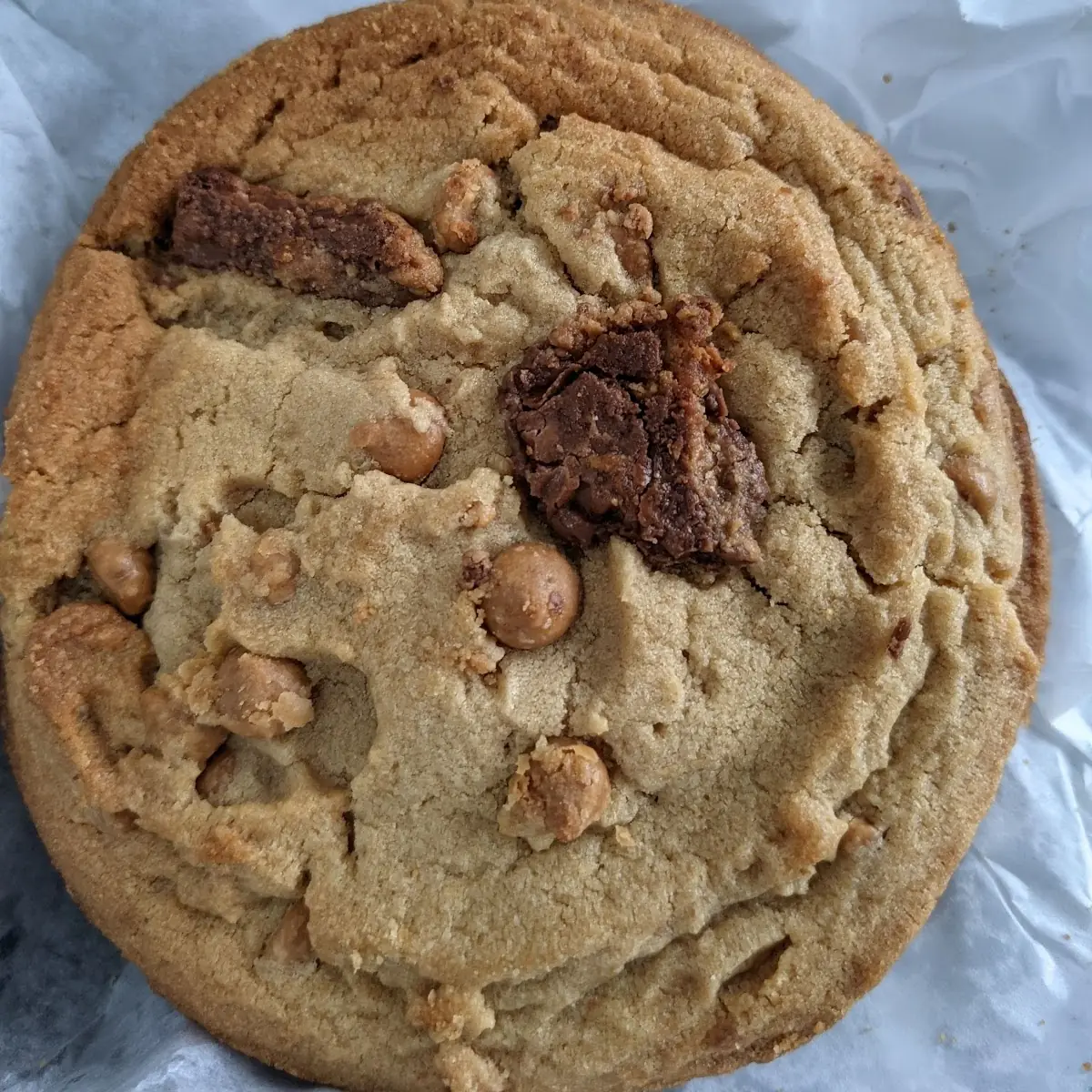 Peanut Butter Chocolate Chunk Cookie