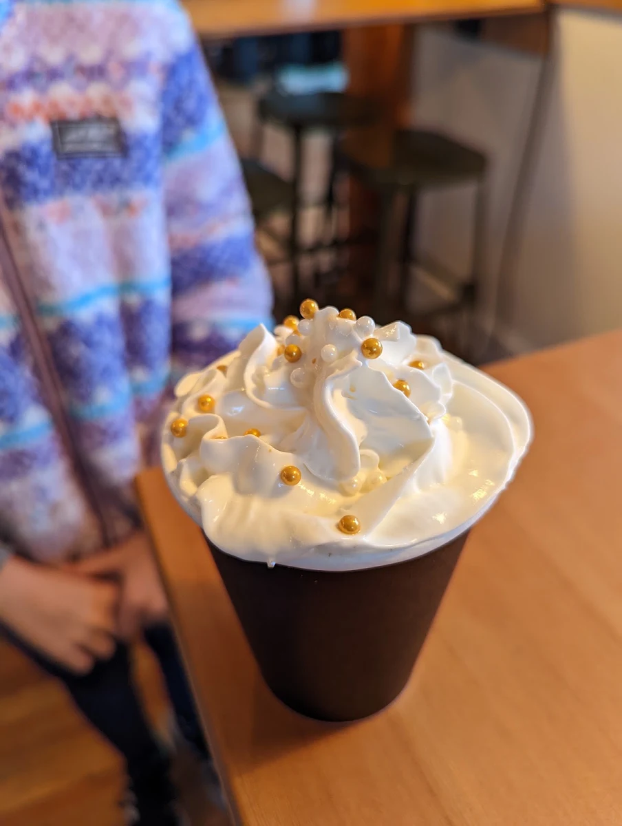 Dark Chocolate Hot Chocolate with Whipped Cream and Sprinkles