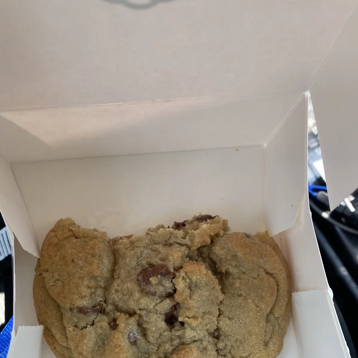 Chocolate Chip Cookie