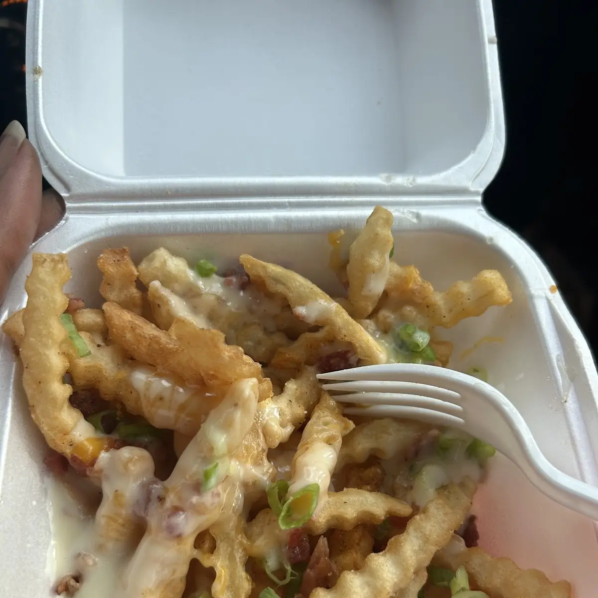 Loaded Fries
