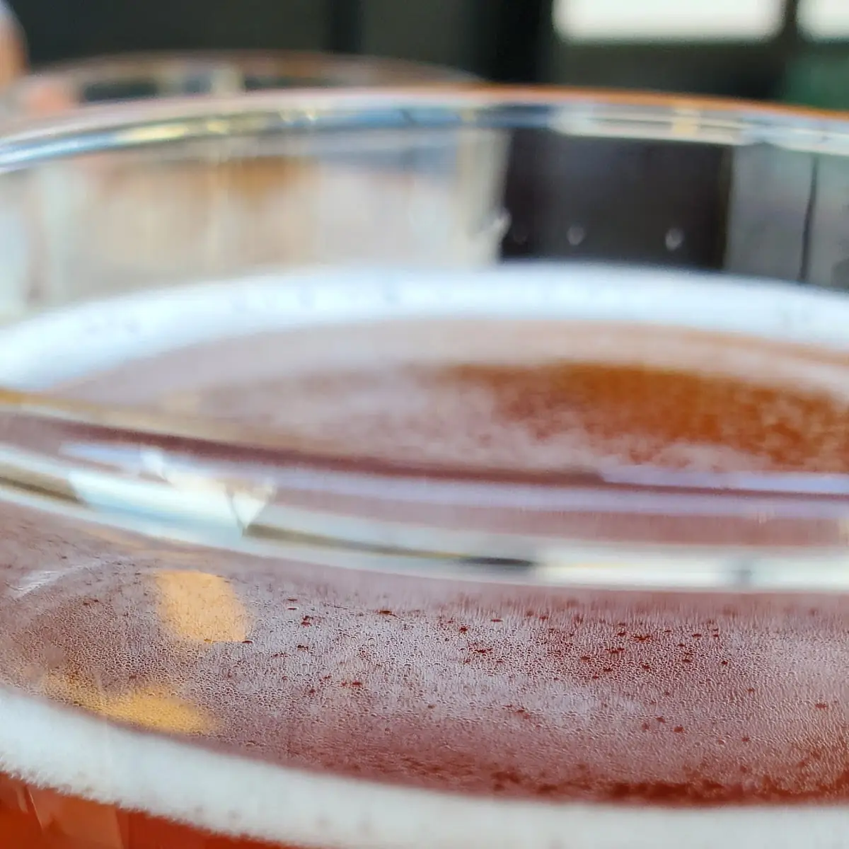 Brooklyn Lager