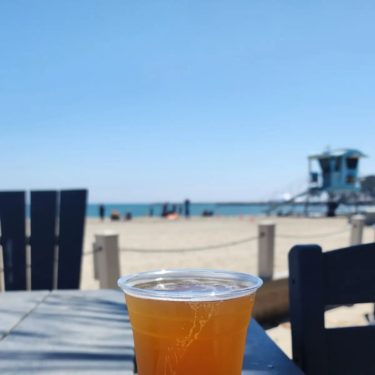 West Coast IPA