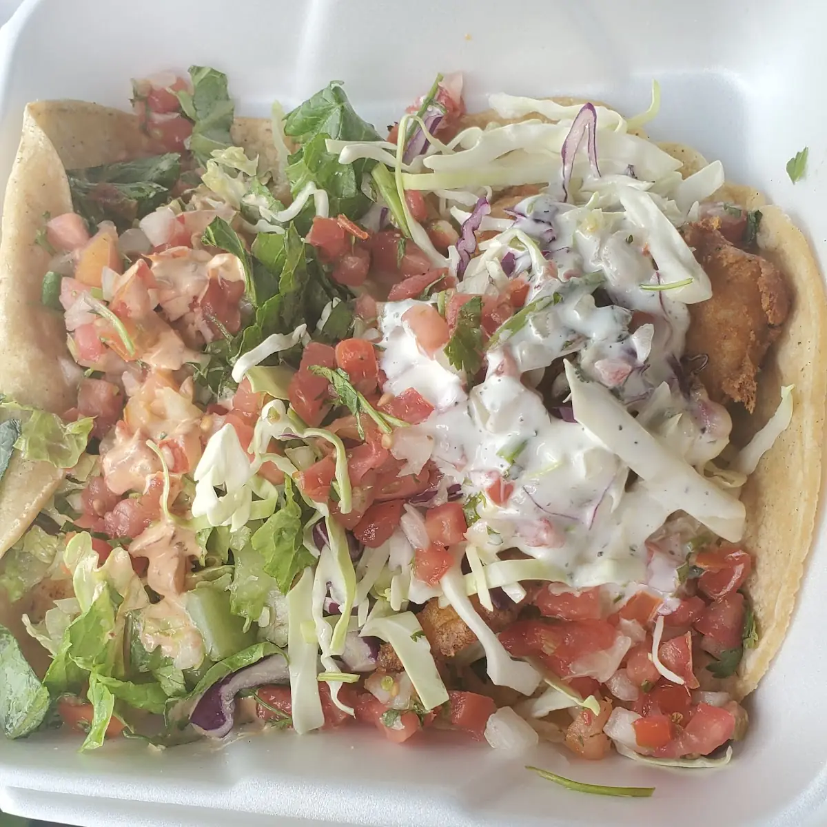 Fried Fish Taco