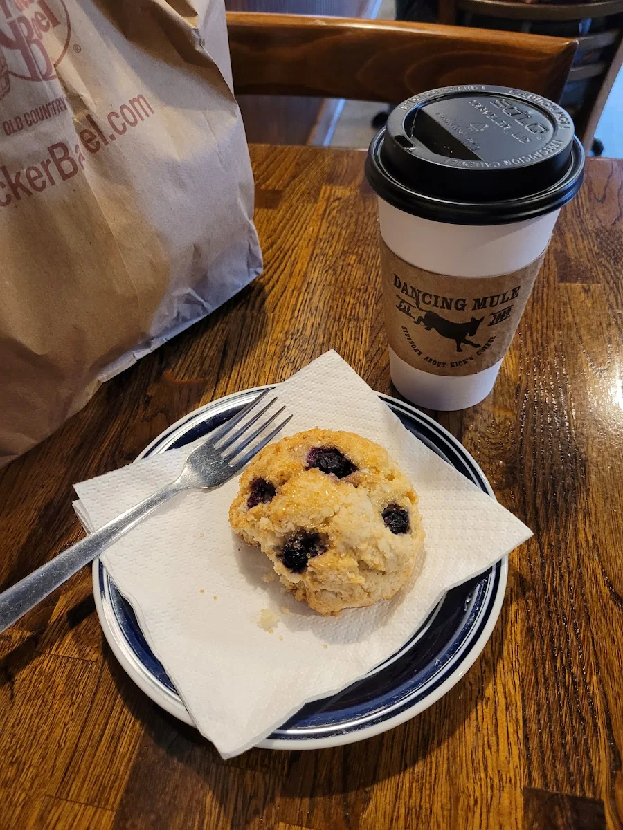 Blueberry Muffin