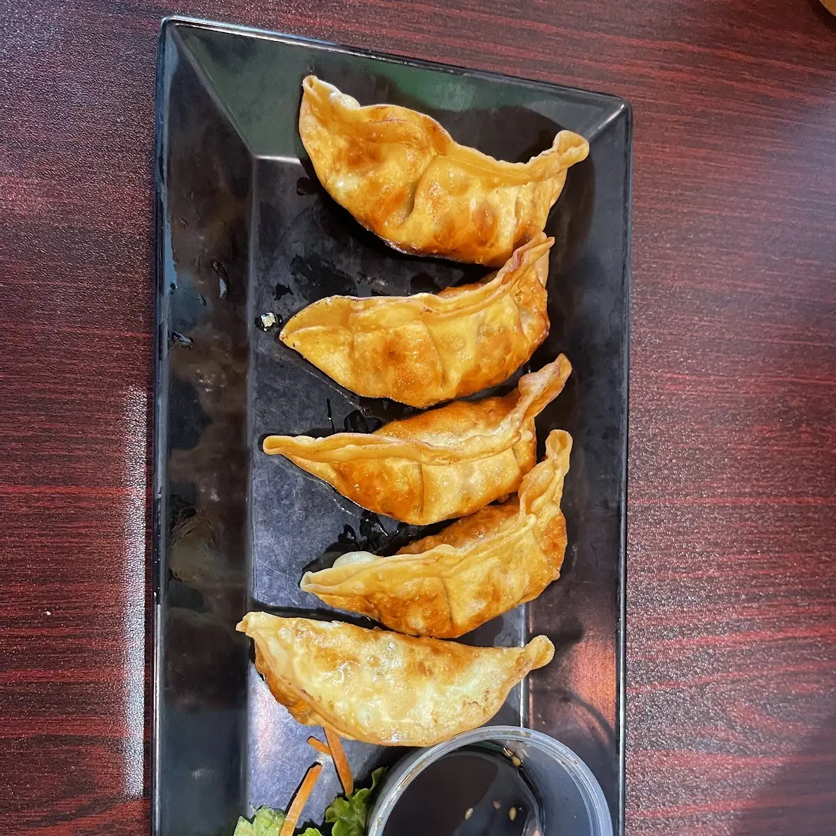 Fried Pork Dumplings