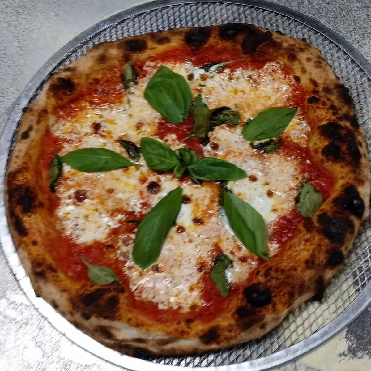 Margherita Pizza