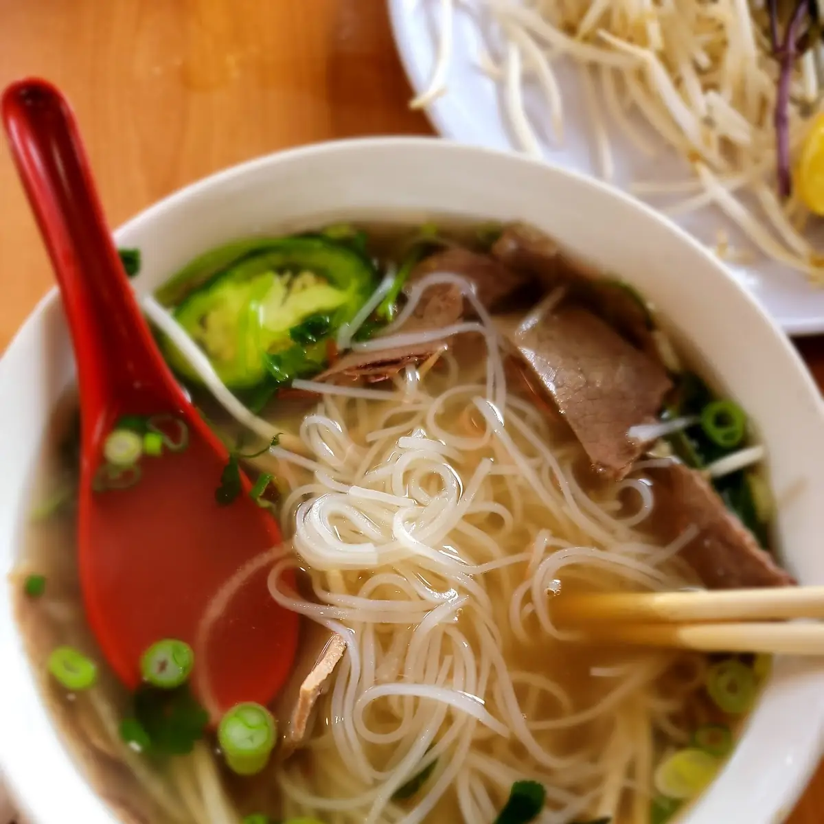 Pho Tai Nam Gau & Shrimp Spring Roll