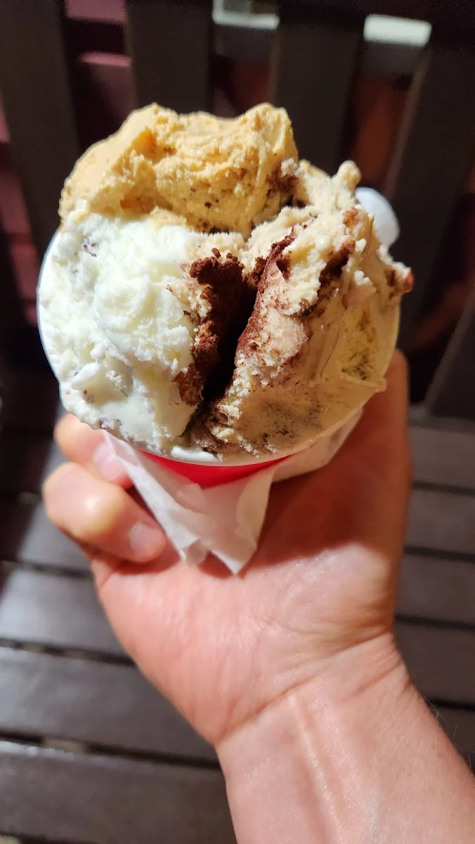 Gelato Cookie Sandwich