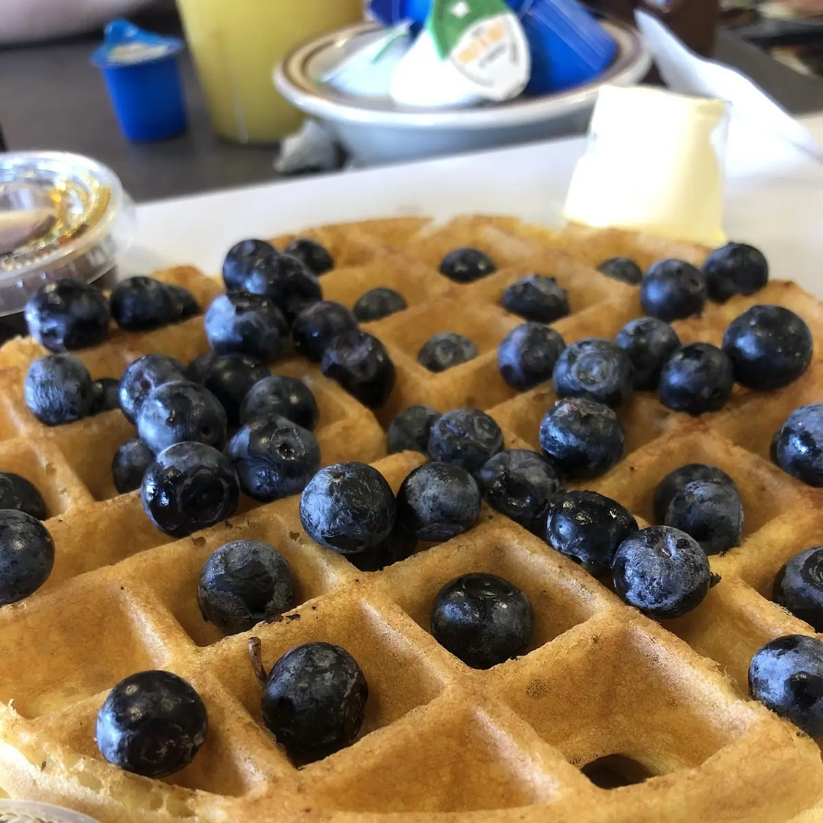 Blueberry Pancake or Waffle Breakfast