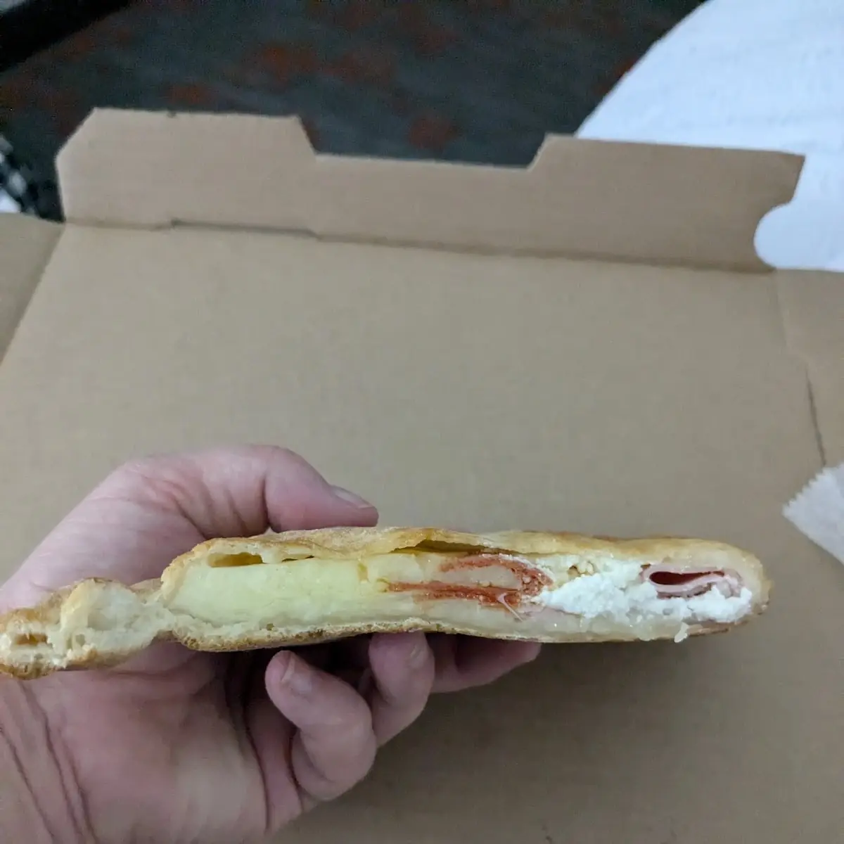 Thin Nasty Excuse for a Calzone
