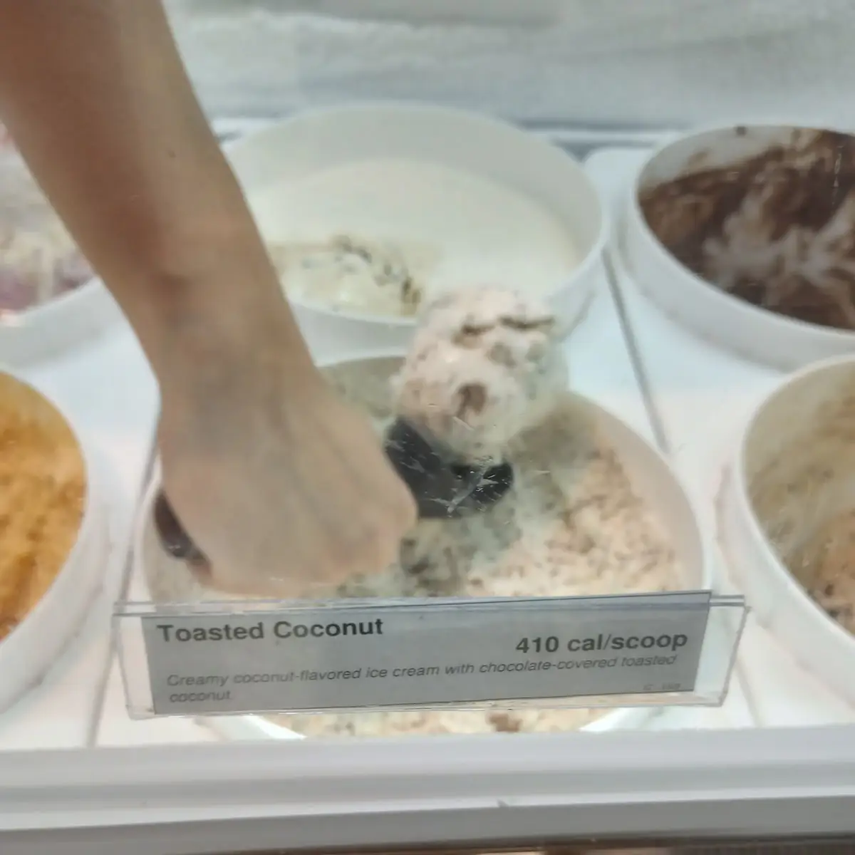 Toasted Coconut Ice Cream Samples