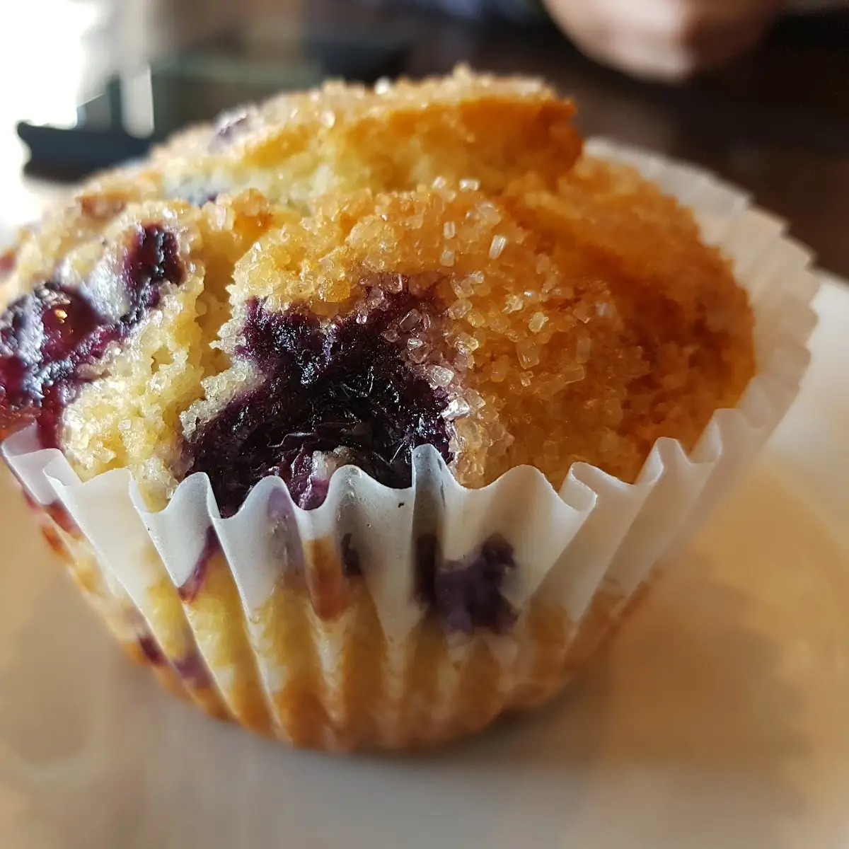 Blueberry Muffin