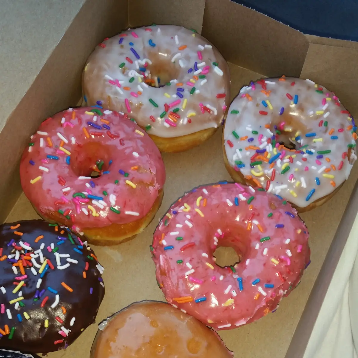 Doughnut