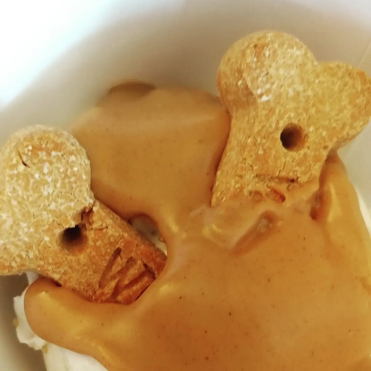 Dog Ice Cream Cone
