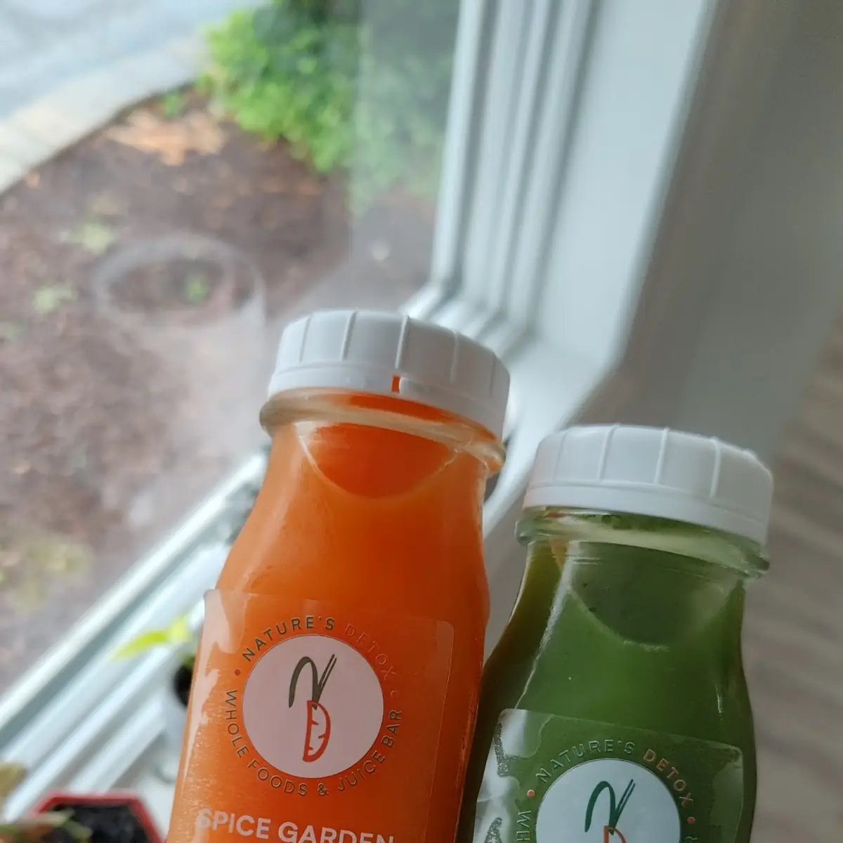 Cold Pressed Organic Juice