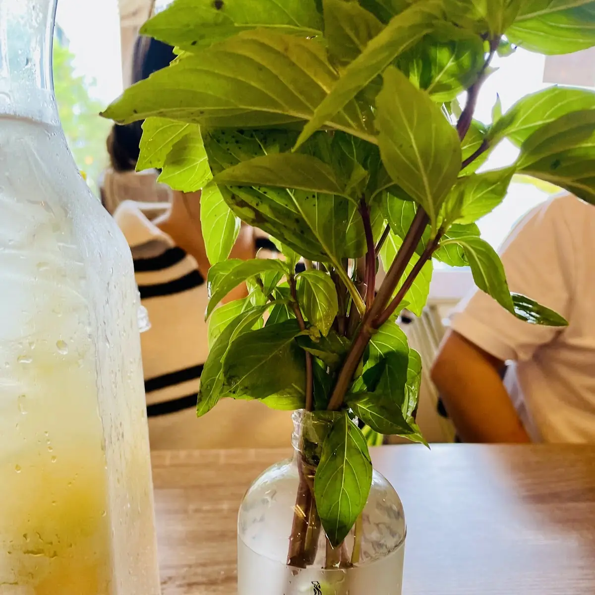 Thai Basil