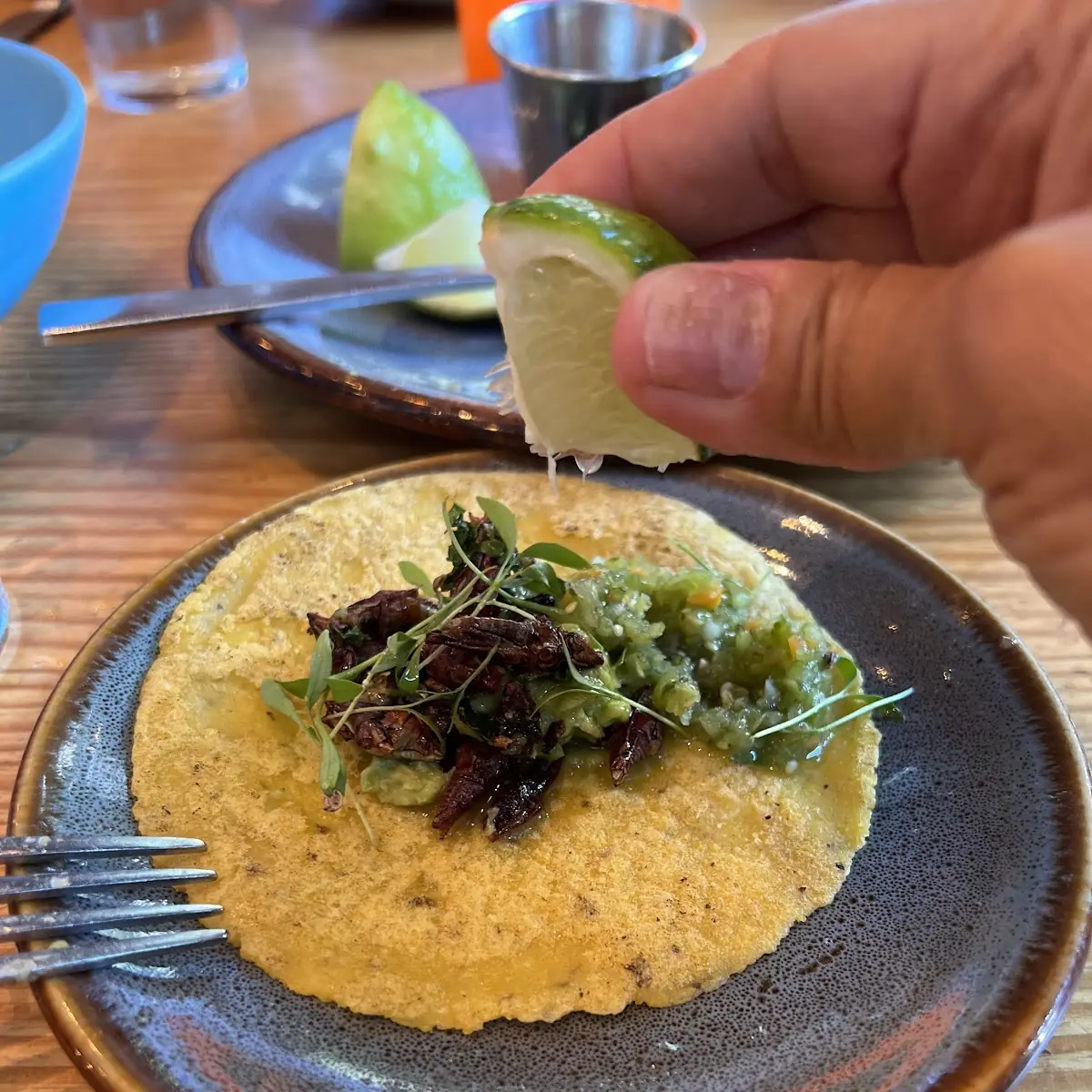 Carnitas Tacos