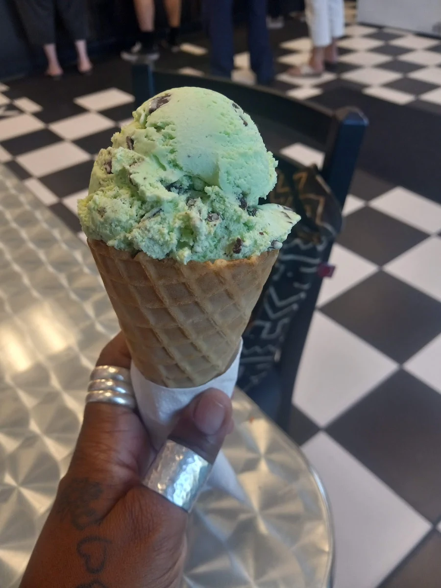 Mint Chocolate Chip
