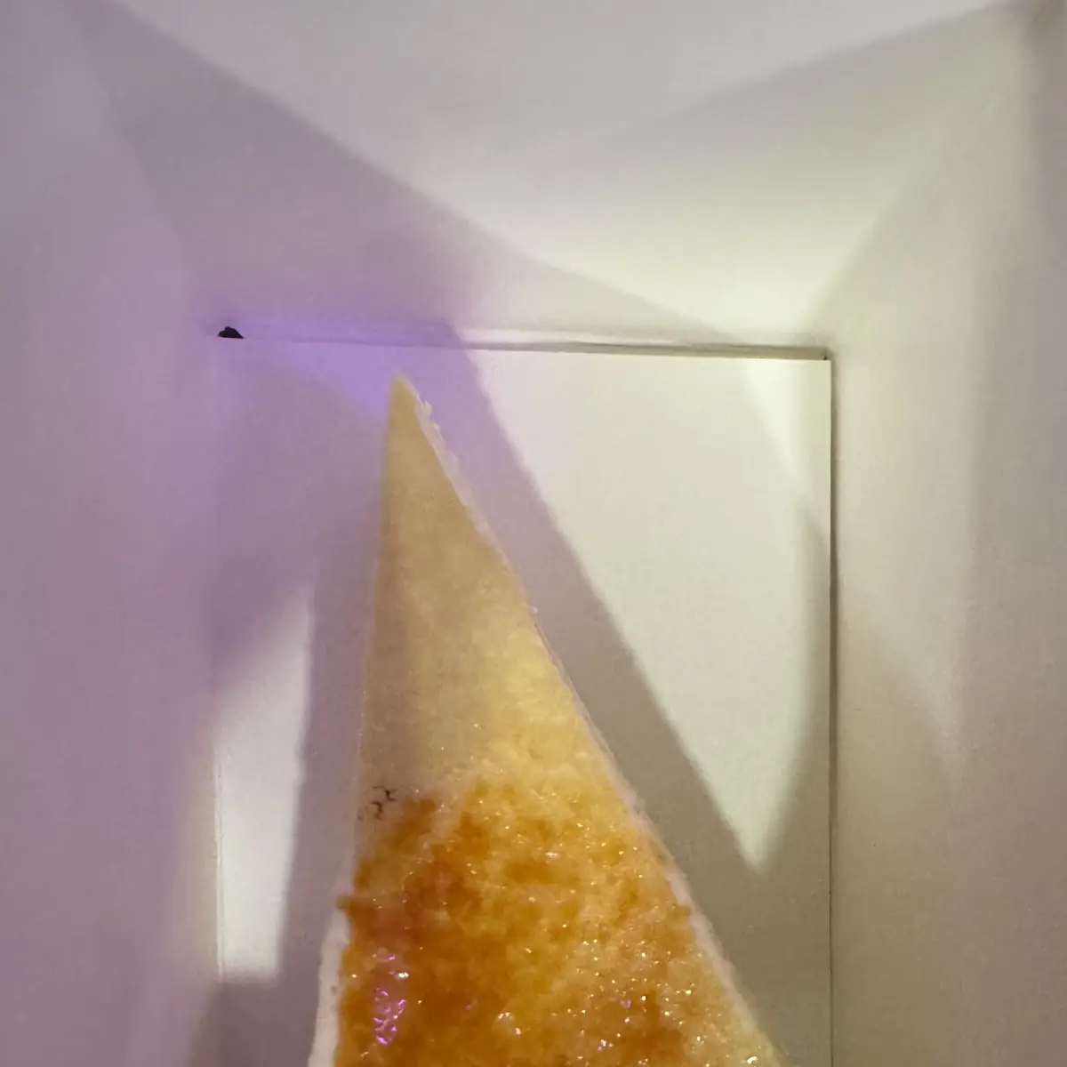 Creme Brulee
