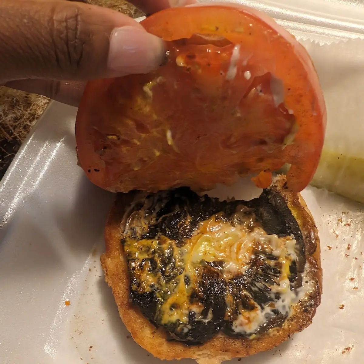 Mushroom Burger