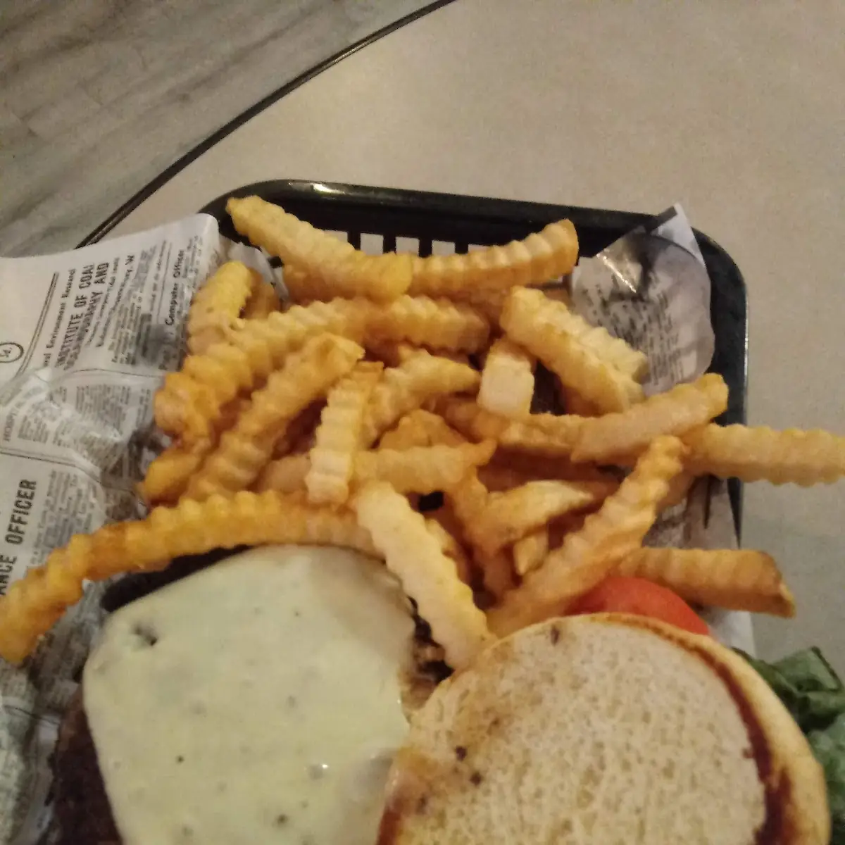 Cheeseburger Deluxe and Fries