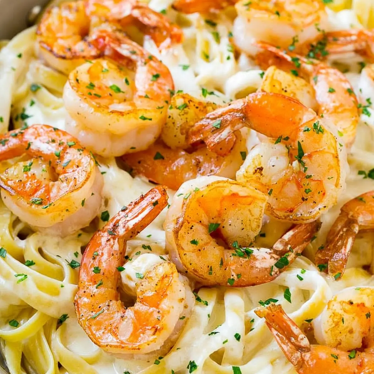 Shrimp Alfredo